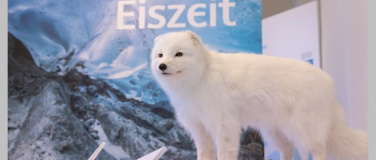 Event-Image for '&laquo;Der Eiszeit auf der Spur&raquo;'