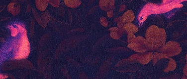 Event-Image for 'DERYA YILDIRIM & MAKAN ASHGVARI – 2 SOLOPERFORMANCES'