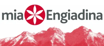 Event organiser of Konzert Gianni Tschenett