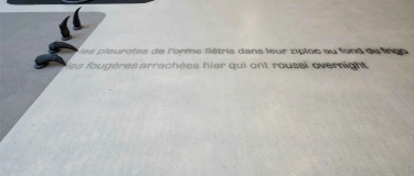 Event-Image for 'Buchvernissage: Maude L&eacute;onard-Contant. gathering'