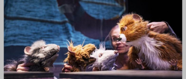 Event-Image for 'Die Muskeltiere'