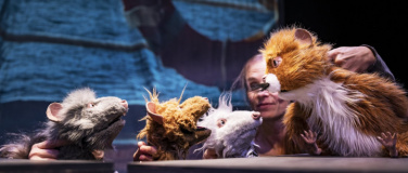 Event-Image for 'Die Muskeltiere'