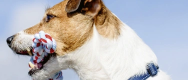 Event-Image for 'Theater Kanton Z&uuml;rich - Der Diener zweier Herren'