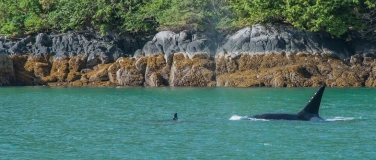 Event-Image for 'KANADA WOCHEN: Westkanada &ndash; Vancouver Island'