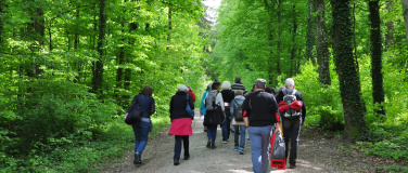 Event-Image for 'Zäme go Laufe 60+   zum langen Zinggen 6.4km Rote Tour'