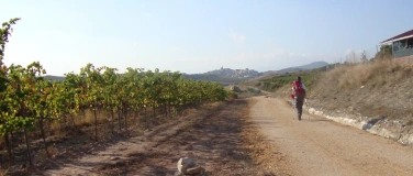 Event-Image for 'Jakobsweg Pilgerstammtisch'