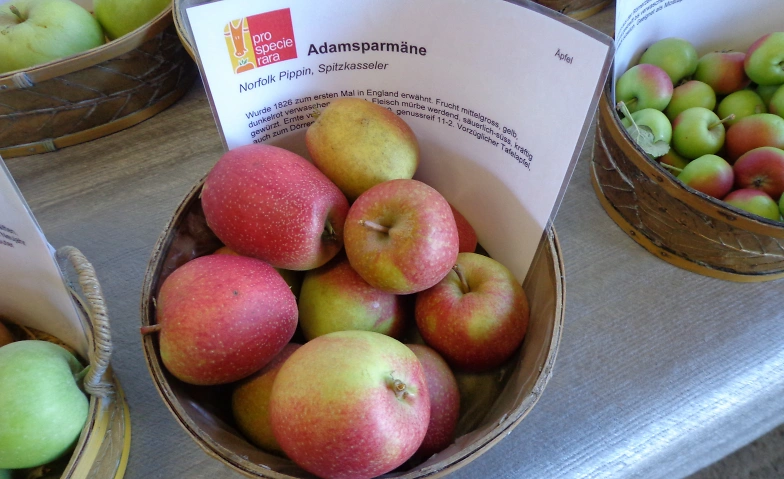 Obstsortenausstellung Tickets