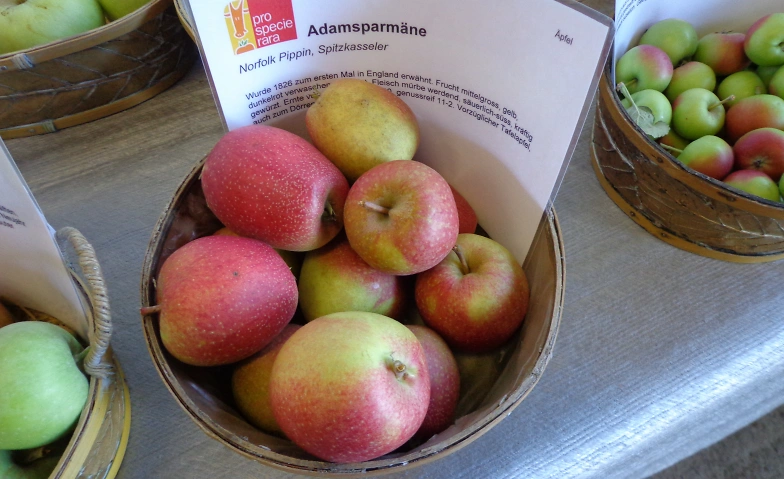 Obstsortenausstellung Tickets