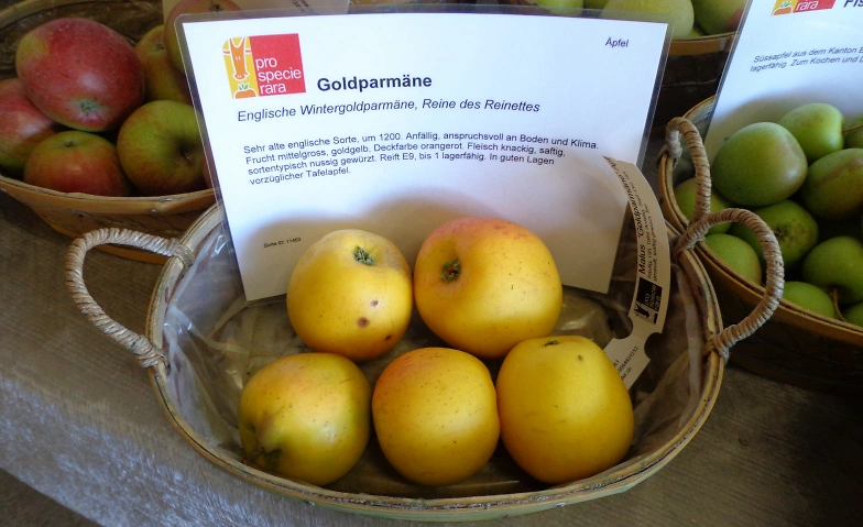 Obstsortenausstellung Tickets