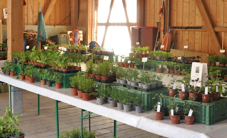 Setzlingsmarkt 2026 Tickets