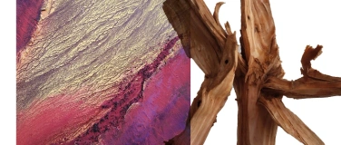 Event-Image for 'Vernissage // Natur-Symbiosen // Milly Broder & Ivo Herrsche'