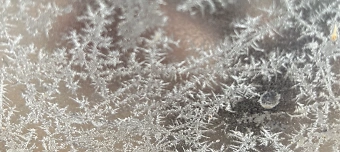 Event organiser of Eisblumen 2025 - Ein ungewöhnlicher Adventskalender