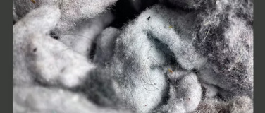 Event-Image for 'Elke Neumann – sammeln, falten, mischen'