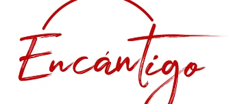 Event organiser of Festival de Teatro "Marionetas para ni&ntilde;os &ldquo; Sopa de Piedra&rdquo;"