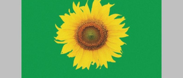 Event-Image for 'Hof Kraftfeld Eröffnungsfeier, Fachfrau Helga'
