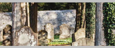 Event-Image for '«Es werden leben Deine Todten» Der Jüdische Friedhof Hohenem'