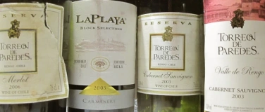 Event-Image for 'Südamerikas gereifte Weine:  deutlicher Kontrast zu heute'