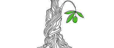 Event-Image for 'Liquid Masterclass Olivenöl Esporão'