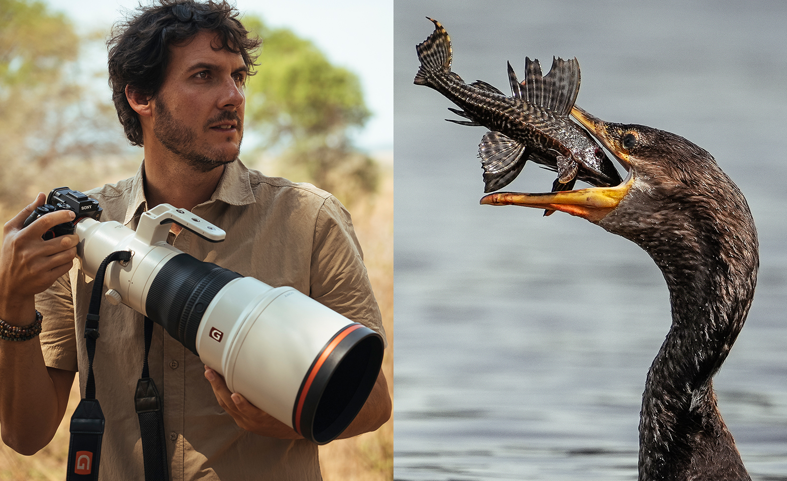 Sony &#945; Day - Wildlife Special Tickets