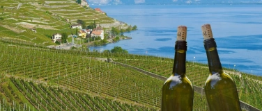 Event-Image for 'Wine & Hike Lavaux'