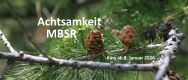 Event-Image for 'MBSR 8-Wochenkurs in Luzern'