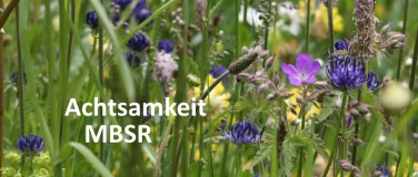 Event-Image for 'MBSR 8-Wochenkurs in Luzern - Abend'