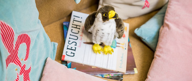 Event-Image for 'BilderBuchZeit Spanisch  La hora del cuento'