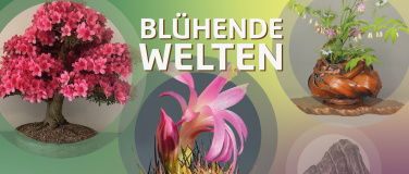 Event-Image for 'Ausstellung "Bl&uuml;hende Welten 2026"'