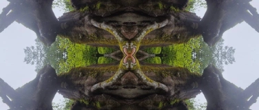 Event-Image for 'The Renaissance of Relationship (Public Talk)'