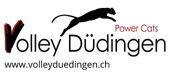 Event organiser of Mobiliar Volley Cup 1/4 Final: Volley Düdingen - Viteos NUC