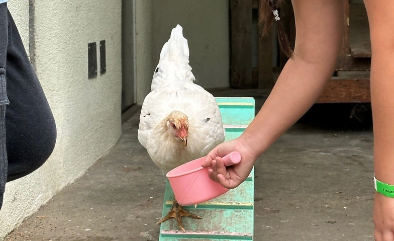 Event-Image for 'ExperimenTIER-Club (Kursnr. 1.6e)'