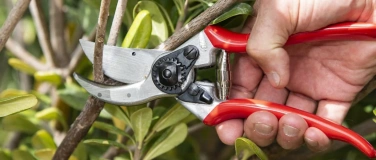 Event-Image for 'Felco Reparatur- und Servicetag f&uuml;r Gartenscheren'