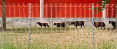 Event-Image for 'Vernissage «Unter uns»'