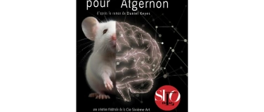 Event-Image for 'DES FLEURS POUR ALGERNON'