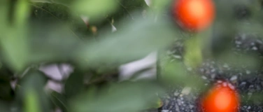 Event-Image for '23 Freir&auml;ume in der Fotografie- A. Olszewski P. Giefer'