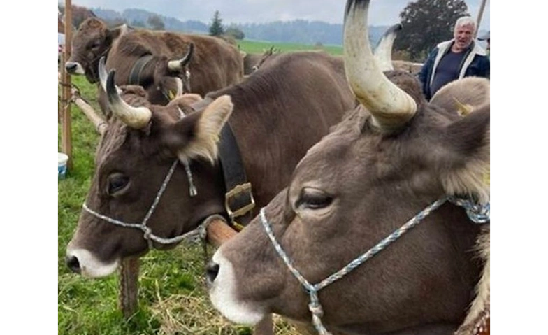 Forum Garage - Zukunftsfragen der Gesellschaft Billets