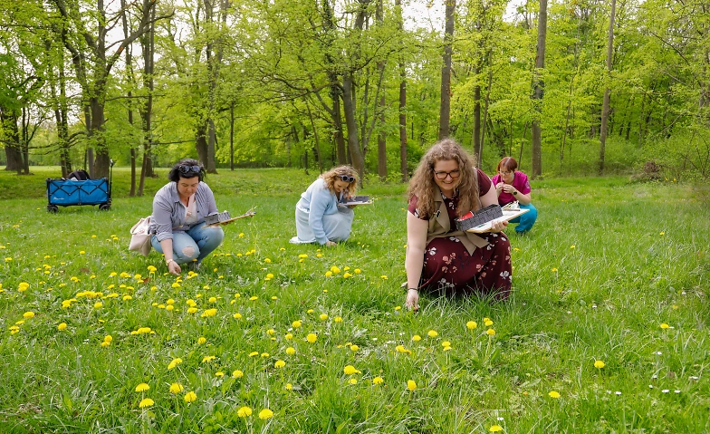 Event-Image for 'Kr&auml;uter-Entdeckungstour'