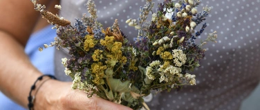 Event-Image for 'Tanznachmittag'