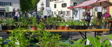Event-Image for 'Wildpflanzen- und Kr&auml;utermarkt Frenkendorf'