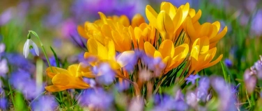 Event-Image for 'Spezialvorf&uuml;hrung: Die vier Jahreszeiten'