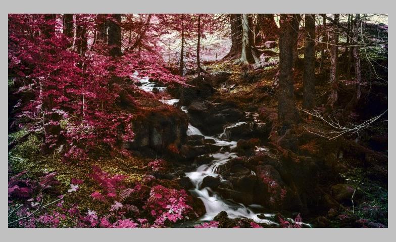 Wald. P&ouml;schelibock, Waldteufel und Laubsack Tickets