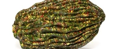 Event-Image for 'Eröffnung: Rotation'