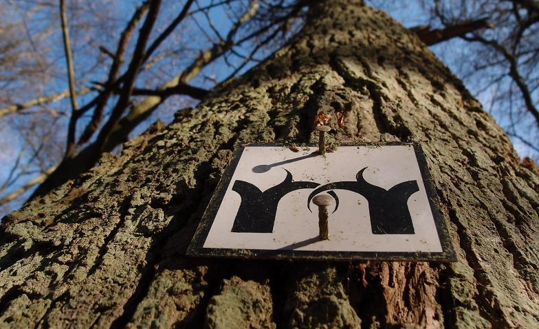 Gebück-Wanderung Hausen vor der Höhe (65388 Schlangenbad), L3035 zwischen Kiedrich und Hausen, Naturpark-Parkplatz “Bitter-Eiche”, Naturpark-Parkplatz “Bitter-Eiche” 2B, 65388 Schlangenbad Tickets