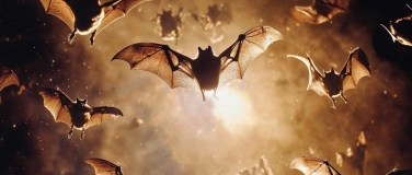 Event-Image for 'Geisternacht + Finissage der Sonderausstellung Vampire'