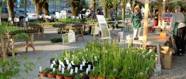 Event-Image for 'Wildpflanzen- und Kr&auml;utermarkt Gelterkinden'
