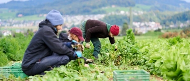 Event-Image for 'Lesung und Diskussionsrunde'