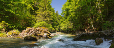 Event-Image for 'Gew&auml;sserperle Thur'