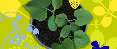 Event-Image for 'Fr&uuml;hlingsmarkt'