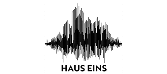 Veranstalter:in von So Many Voices – Podcastkonferenz von hauseins