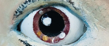 Event-Image for 'Kollektiv Frei_Raum &laquo;Heidi&raquo;'